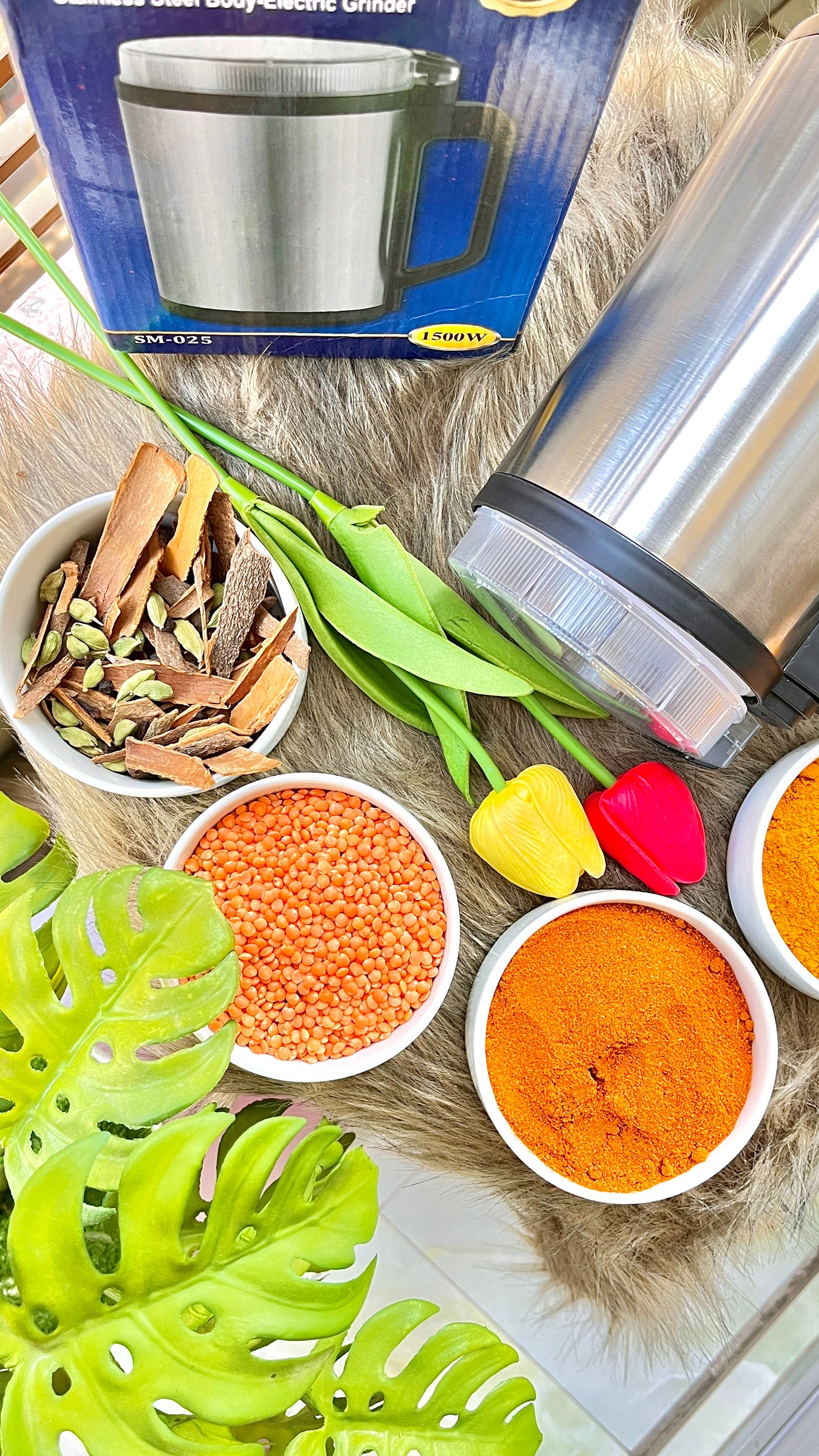 Silver Crest Stainless Steel Electric Mini Grinder – 1500W